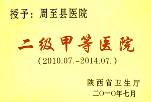 二甲医院牌20101.jpg